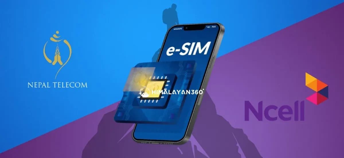 SIM Card