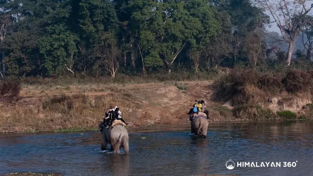 Elephant Ride in Chitwan National Park