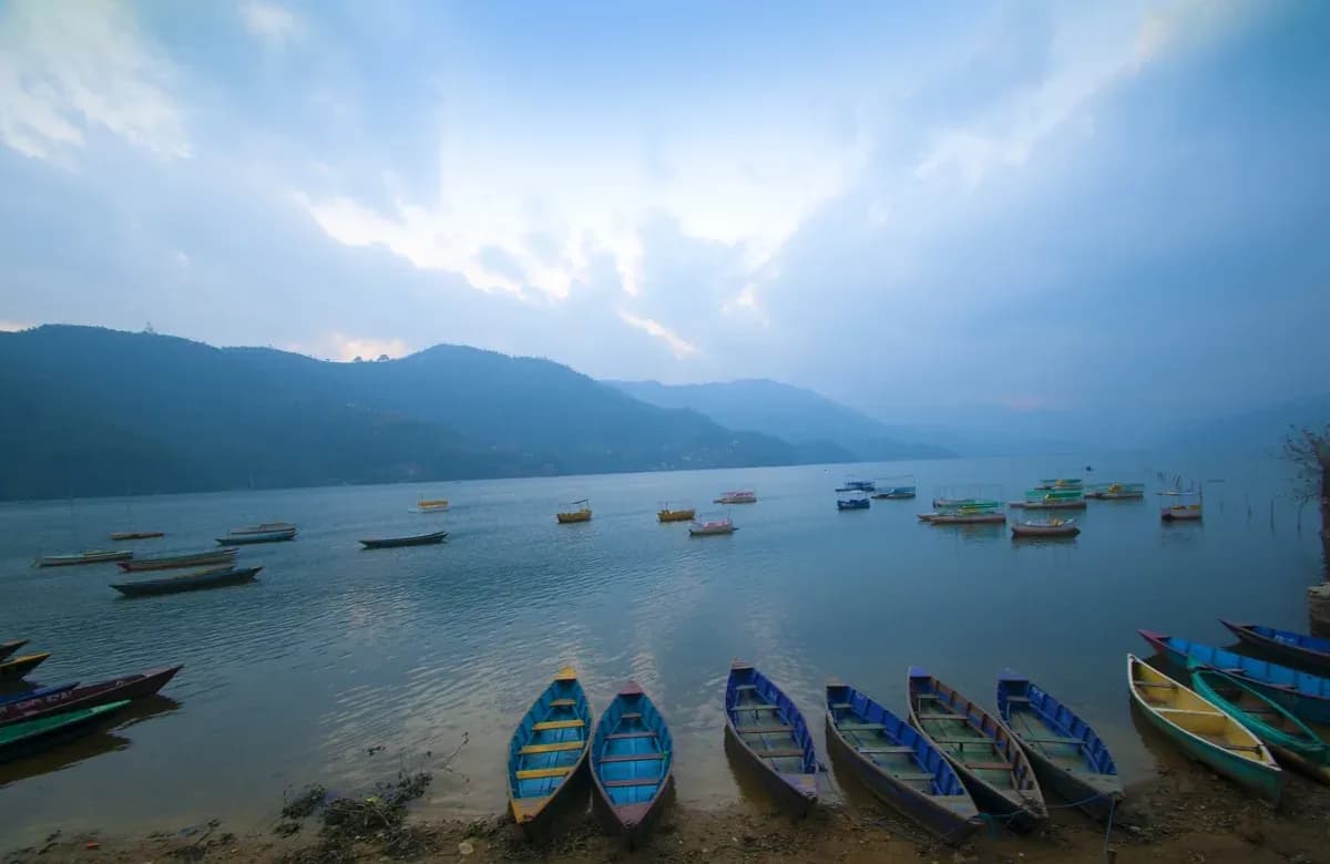Boats moored on Phewa Lake at Pokhara