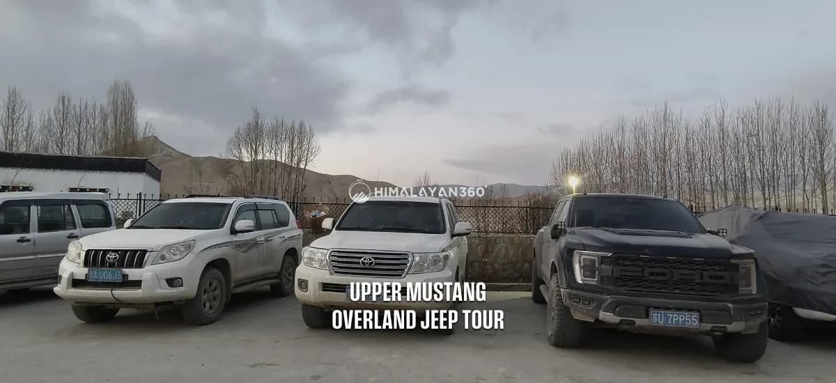 Vehicles Parked in Mustang Jeep Tour