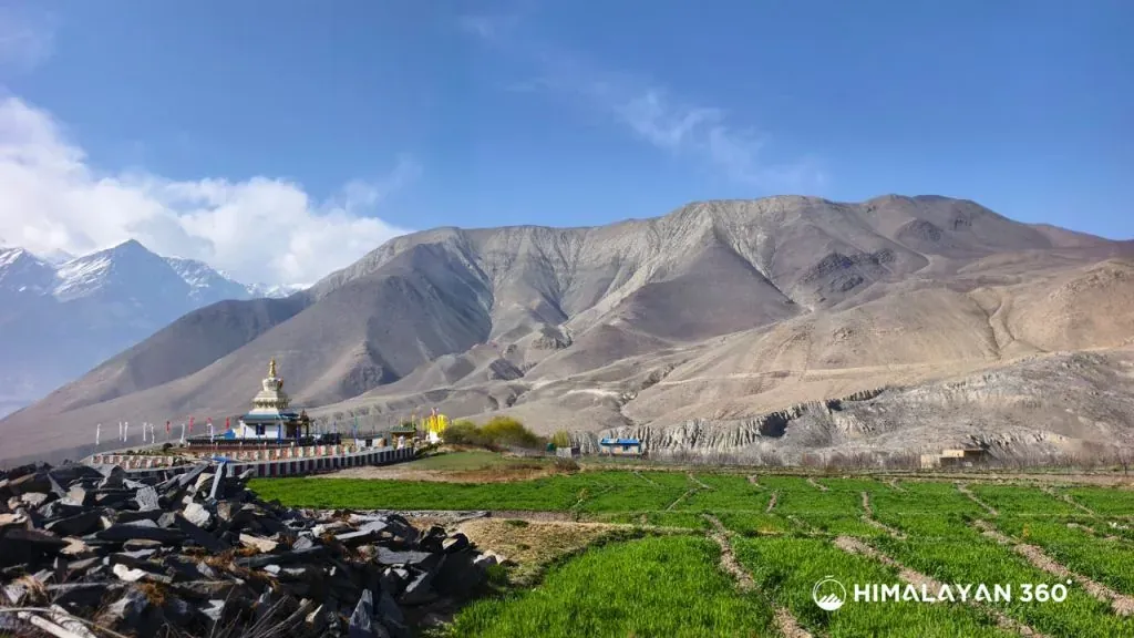 Mustang Overland Jeep Tour