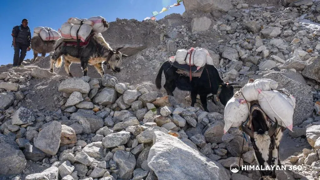 Everest Two Passes Trek
