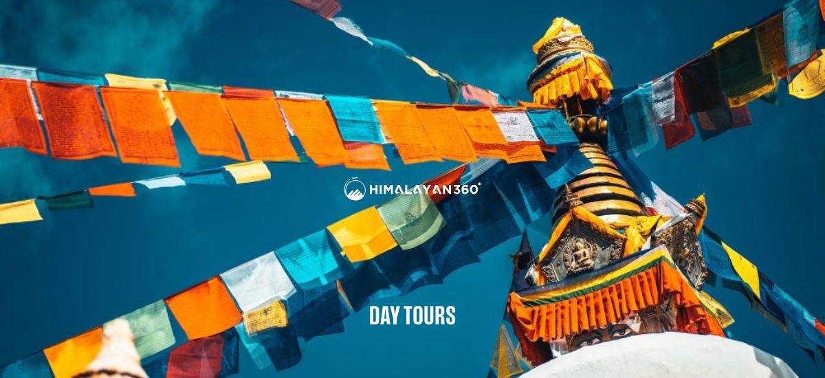 Day Tours